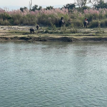 Chitwan Riverside Resort Sauraha Εξωτερικό φωτογραφία