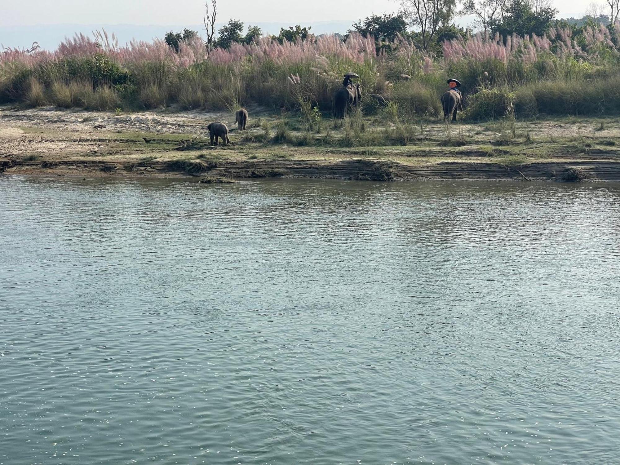 Chitwan Riverside Resort Sauraha Εξωτερικό φωτογραφία