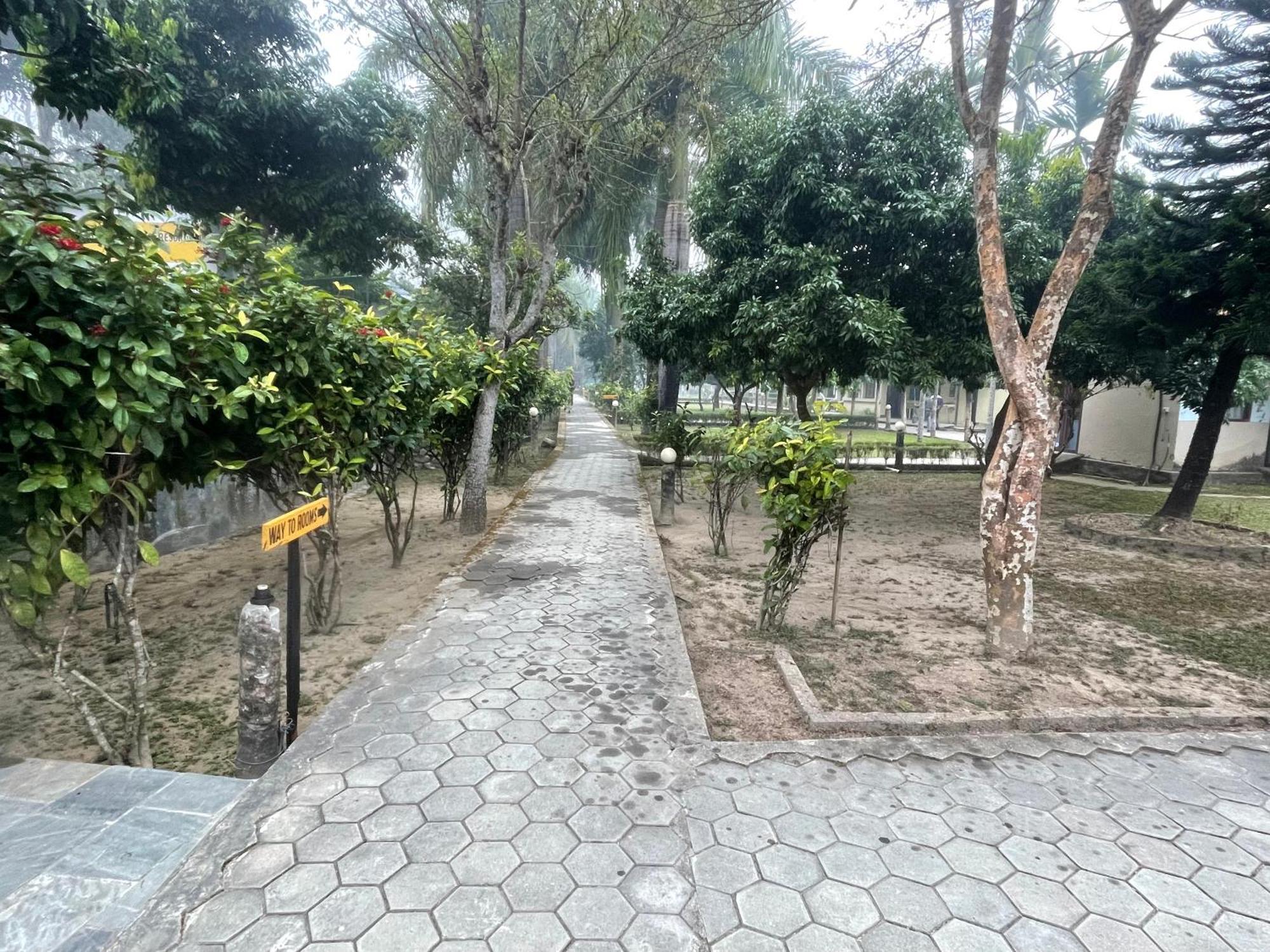 Chitwan Riverside Resort Sauraha Εξωτερικό φωτογραφία