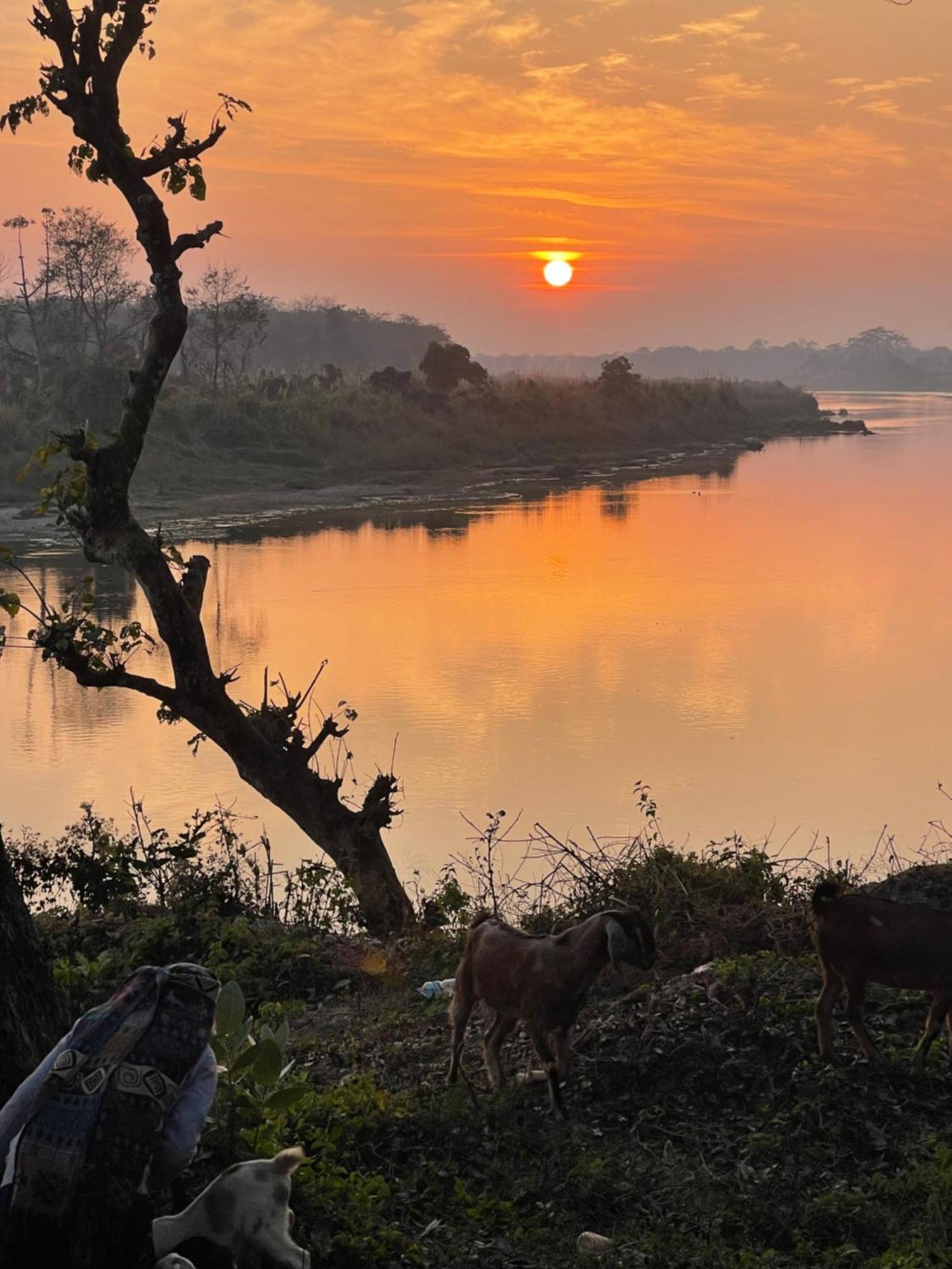Chitwan Riverside Resort Sauraha Εξωτερικό φωτογραφία