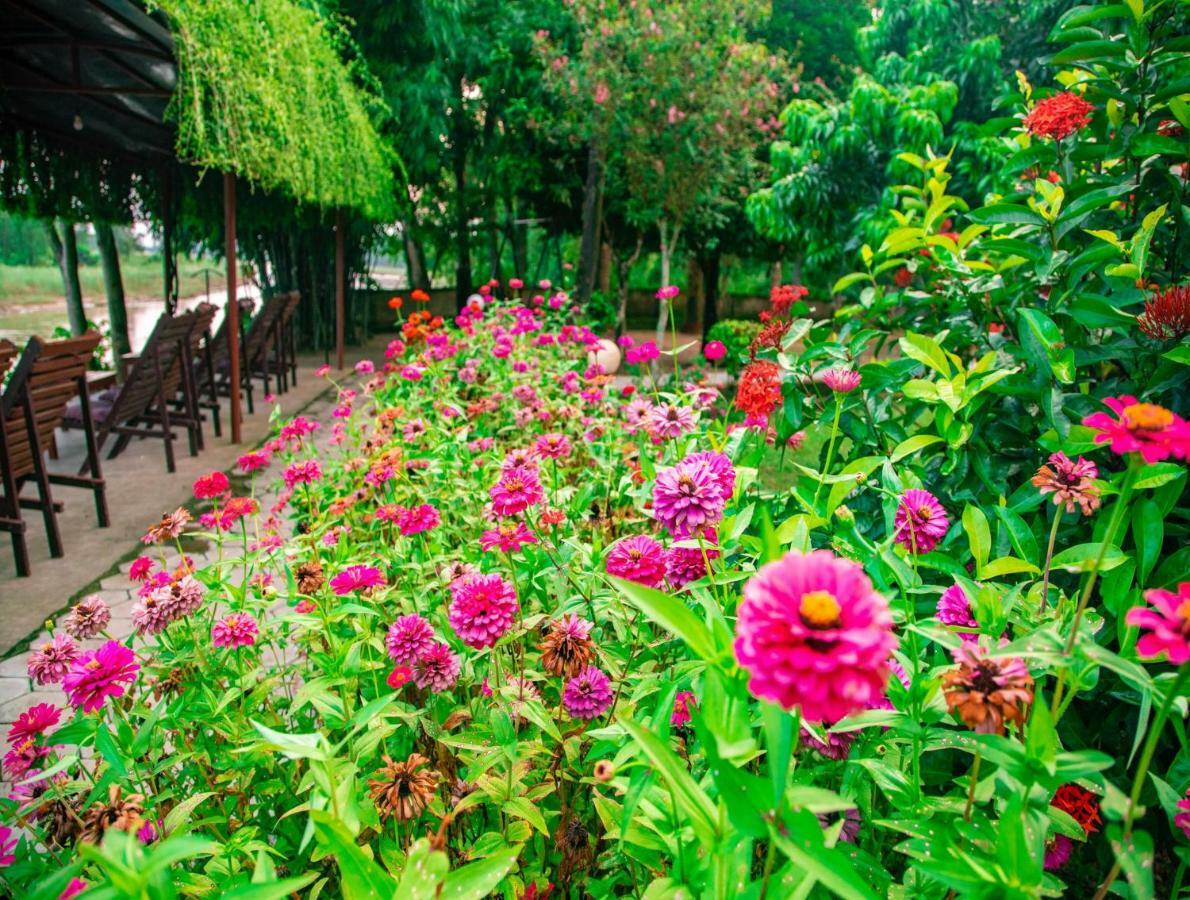 Chitwan Riverside Resort Sauraha Εξωτερικό φωτογραφία